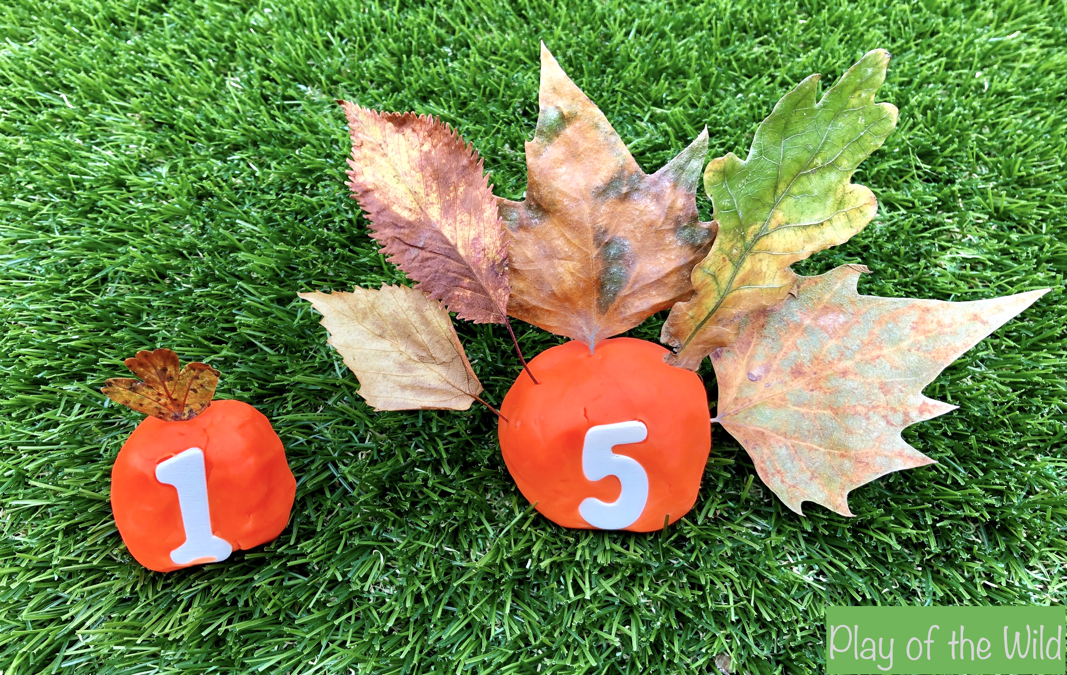 How to Teach Children to Count using Autumn Objects – Play of the Wild